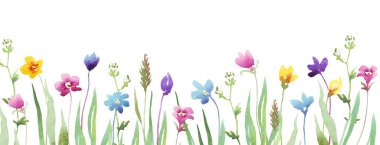 Yaban çiçekleri sınırı. Suluboya Clipart