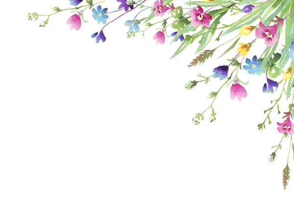 Kır çiçekleri çerçevesi. Suluboya Clipart