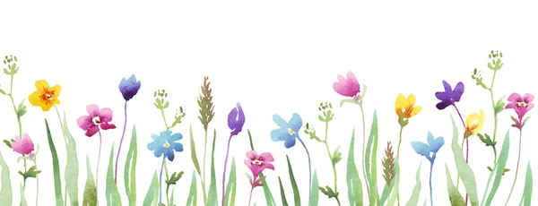 Wildflowers border. Watercolor clipart