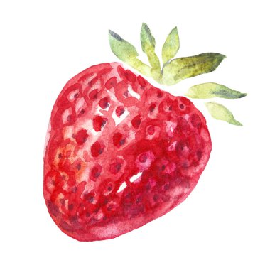 Suluboya çilek. Elle boyanmış klipsli. İzole edilmiş