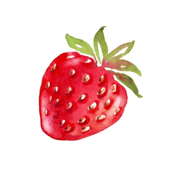 Aquarelle Fraise Clipart Peint Main Isolé — Photo