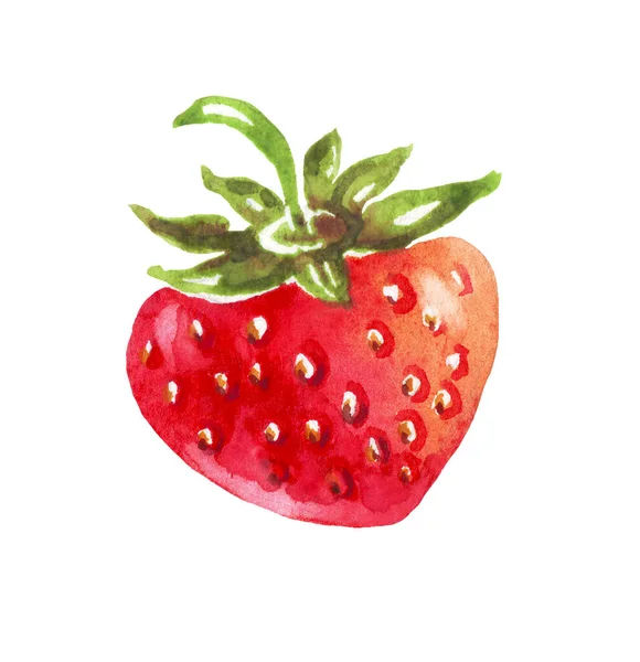 Aquarell Erdbeere Vorhanden Handgemalter Cliparts Isoliert — Stockfoto