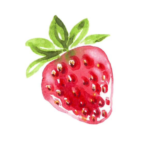 Suluboya çilek. Elle boyanmış klipsli. İzole edilmiş