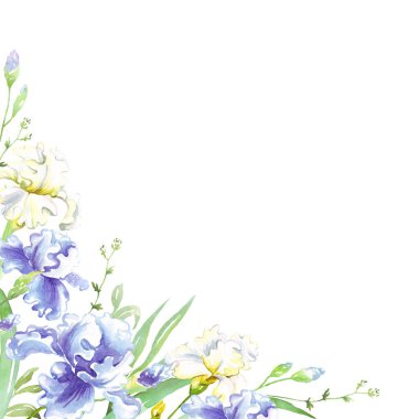 Suluboya süsen çerçevesi. Elle boyanmış Clipart