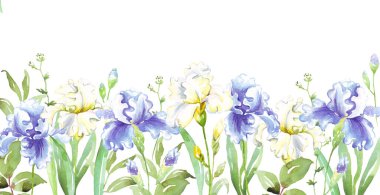 Suluboya süsen çerçevesi. Elle boyanmış Clipart