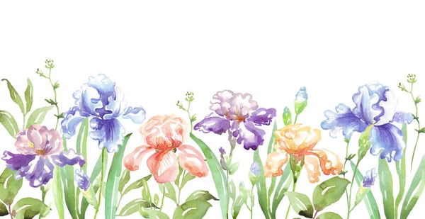 Watercolor Iris Frame Hand Painted Clipart — Stok fotoğraf