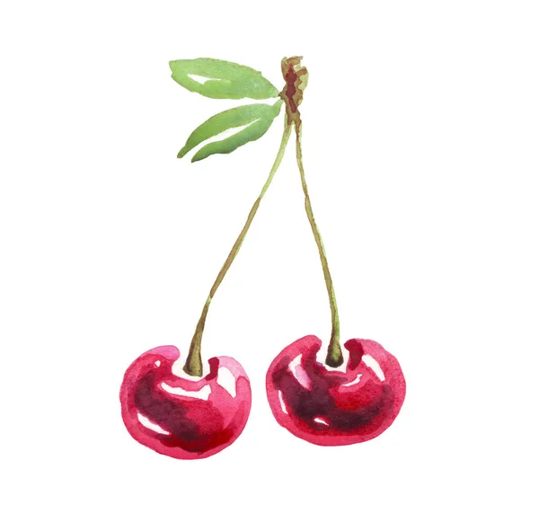 Cherry Watercolor Clipart Hand Painted Illustration — Stock fotografie