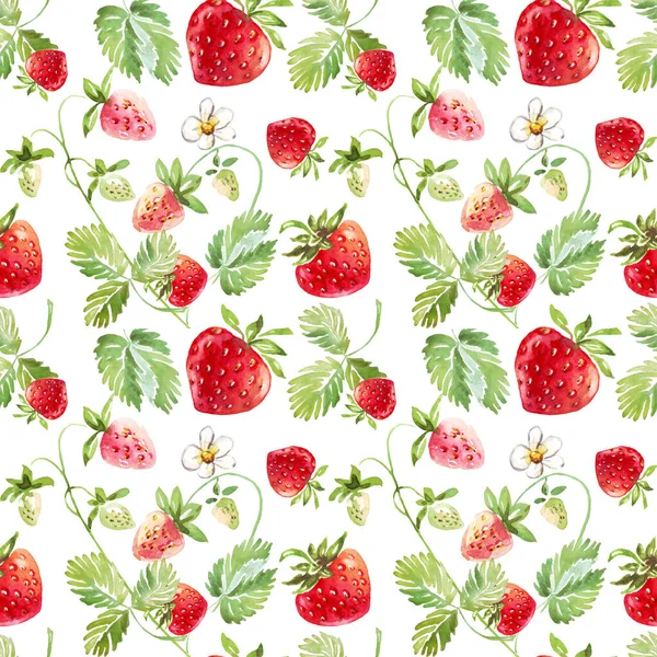 Strawberry Seamless Pattern Hand Painted Illustration — 图库照片