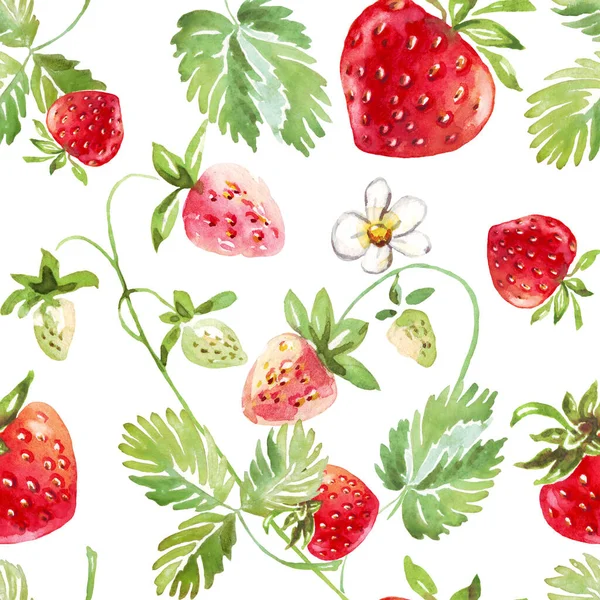 Strawberry Seamless Pattern Hand Painted Illustration — 图库照片