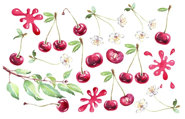 Cherry Set Watercolor Clipart Hand Painted Illustration — Foto Stock