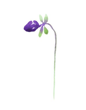 Pansy bud. Watercolor clipart. Hand-painted illustration