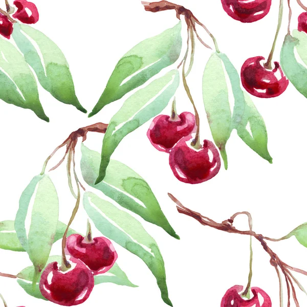 Cherry Pattern Watercolor Hand Painted Illustration — Stok fotoğraf