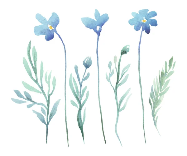 Forget Flowers Watercolor Illustration — Foto de Stock