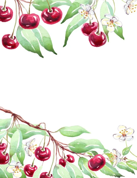 Cherry Frame Watercolor Clipart Hand Painted Illustration — Stok fotoğraf