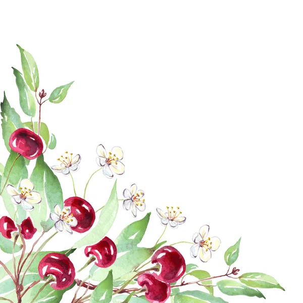 Cherry Frame Watercolor Clipart Hand Painted Illustration — Foto Stock