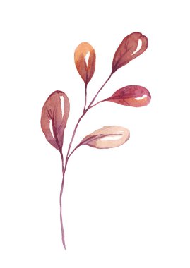 Fall leaf. Watercolor clipart. Hand-painted illustration