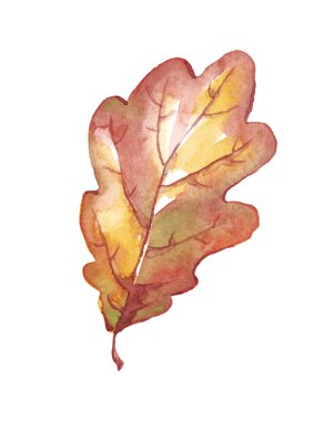Fall leaf. Watercolor clipart. Hand-painted illustration