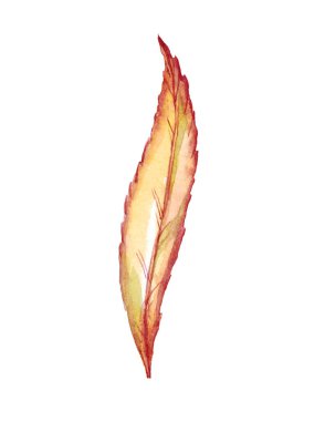 Fall leaf. Watercolor clipart. Hand-painted illustration