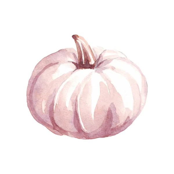 Pumpkin Watercolor Clipart Hand Painted Illustration — Φωτογραφία Αρχείου