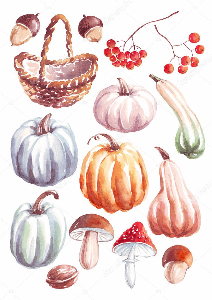 Autumn set. Watercolor clipart. Hand-painted illustration 