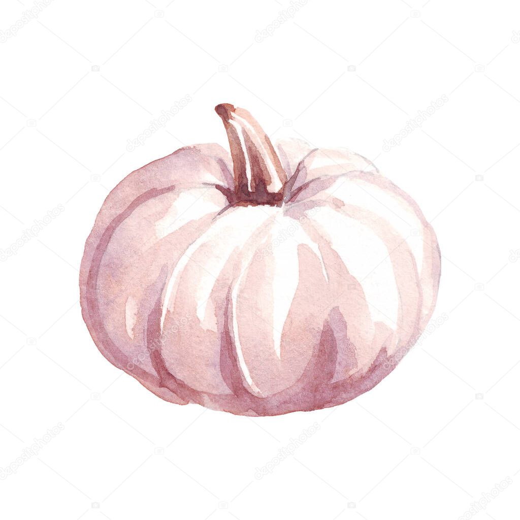 Pumpkin. Watercolor clipart. Hand-painted illustration