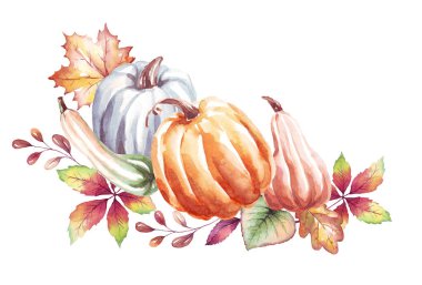 Pumpkins. Watercolor clipart. Hand-painted illustration