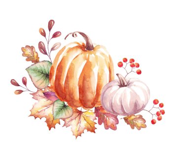 Pumpkins. Watercolor clipart. Hand-painted illustration