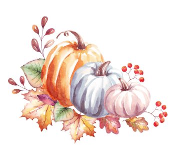Pumpkins. Watercolor clipart. Hand-painted illustration
