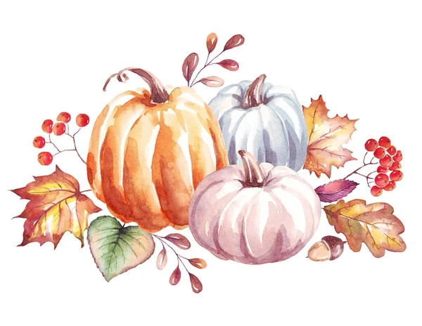 Pumpkins. Watercolor clipart. Hand-painted illustration