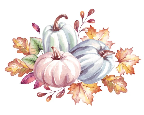 Pumpkins. Watercolor clipart. Hand-painted illustration