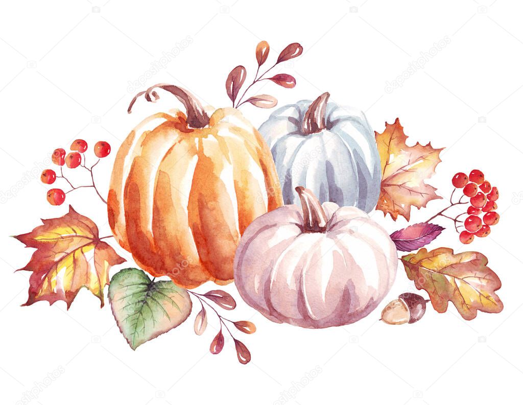 Pumpkins. Watercolor clipart. Hand-painted illustration