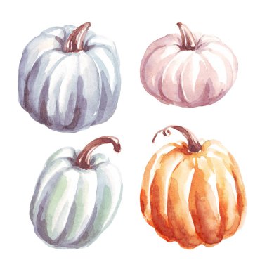 Pumpkins. Watercolor clipart. Hand-painted illustration