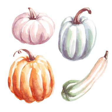 Pumpkins. Watercolor clipart. Hand-painted illustration