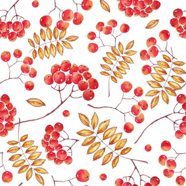 Fall rowan seamless pattern. Watercolor illustration