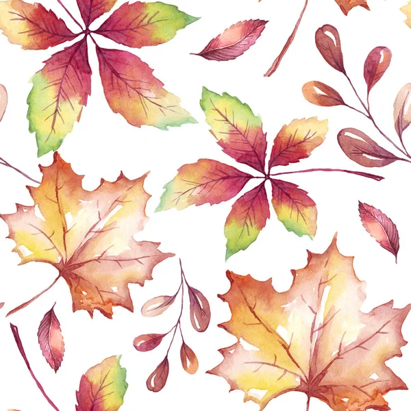 Fall Leaves Seamless Pattern Watercolor Illustration — 스톡 사진