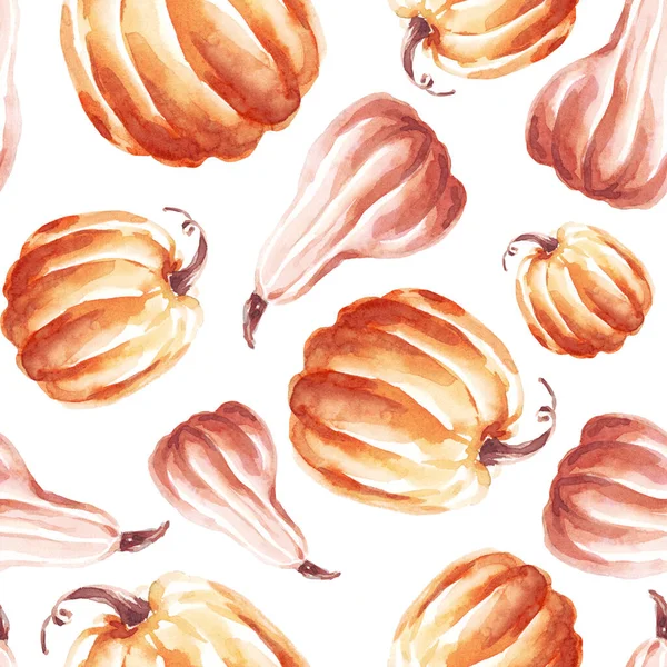 Balkabakları pürüzsüz desen. Suluboya çizimi