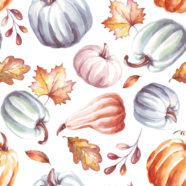 Balkabakları pürüzsüz desen. Suluboya çizimi