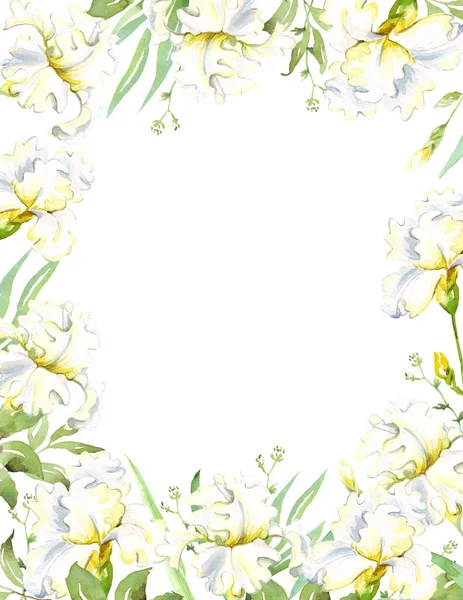 Beyaz süsen çerçeve. Suluboya Clipart