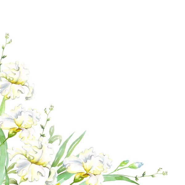 Weiße Schwertlilien Umrahmen Aquarell Cliparts — Stockfoto