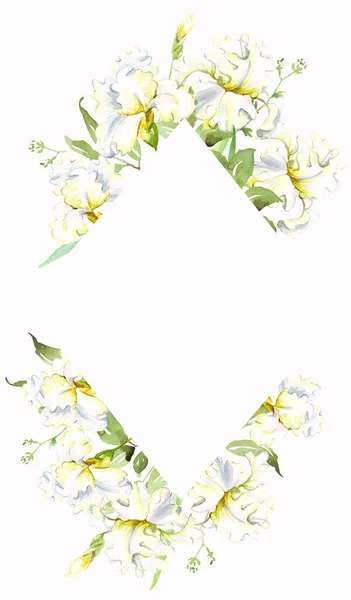 White Irises Frame Watercolor Clipart — Stock Photo, Image