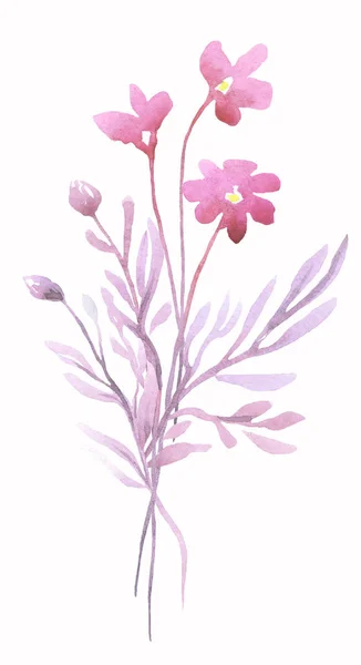 Rosafarbener Blumenstrauß Aquarell Cliparts — Stockfoto