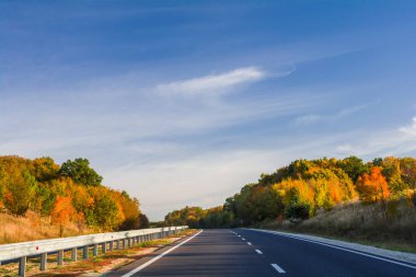 Sonbahar ormanının ortasındaki otoyol. Güzel sonbahar manzarası