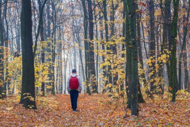 Kırmızı sırt çantalı bir adam düşen yapraklarla kaplı bir patika boyunca sonbahar ormanında yürüyor.