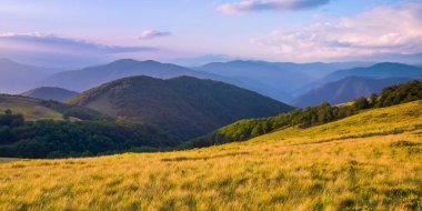 Dağ sırasının resimli panoramik manzarası. Yaz dağı manzarası. Karpatlar, Ukrayna