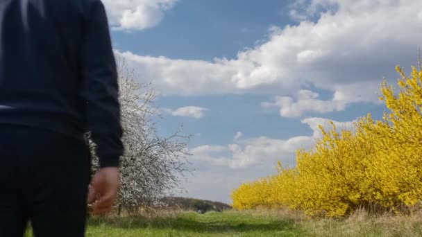Muž Kráčí Pěšině Mezi Stromy Křovisky Jarní Kvetoucí Zahrady Zadní — Stock video