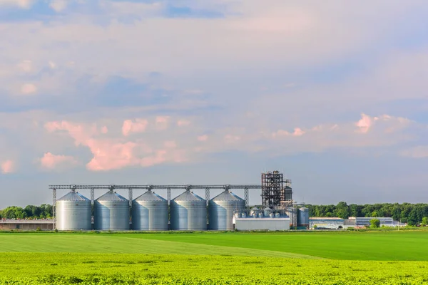Grain storage elevator and green fields of crops