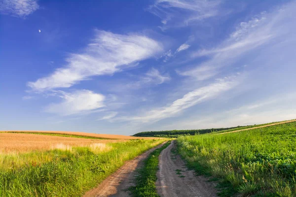 Uma Estrada Campo Entre Encostas Dos Campos Culturas Agrícolas — Fotografia de Stock