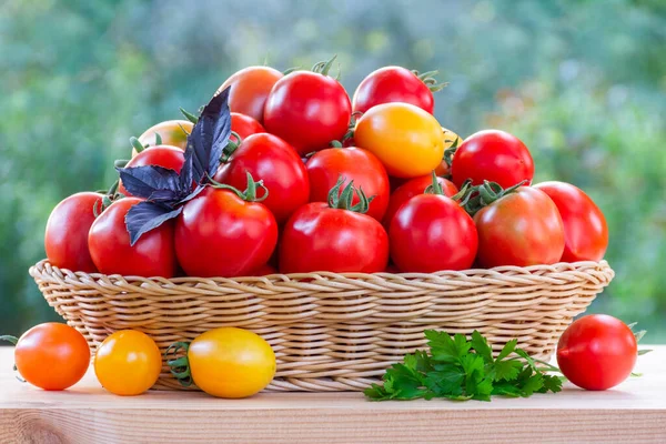 Fresh Ripe Tomatoes Wicker Basket Wooden Table Outdoors — Photo