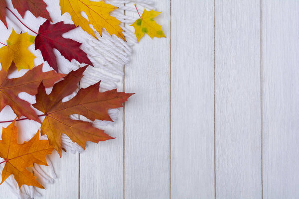 Fallen autumn leaves on a white wooden background. Copy space