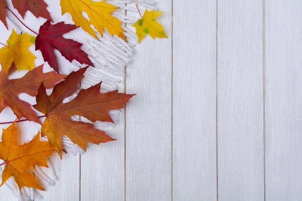 Gevallen Herfstbladeren Een Witte Houten Achtergrond Kopieerruimte Stockafbeelding